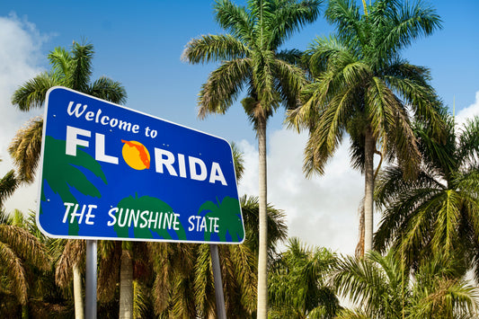 🌿Florida Lawns 101: How to Keep Your Yard Green All Year Long🌿