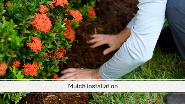 Mulch Installation