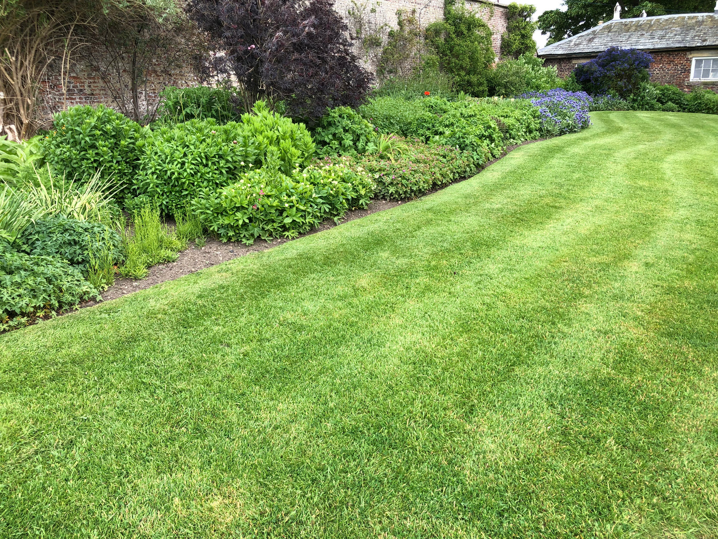 Signature Lawn Plan Subscription