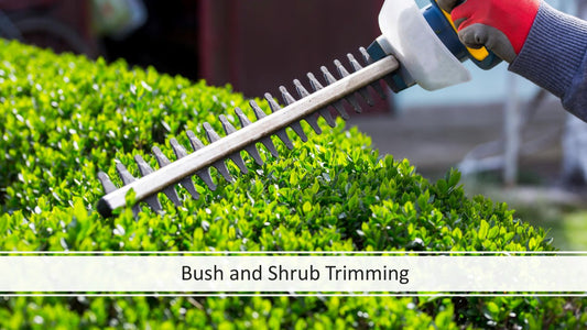 Bush & Shrub Trimming