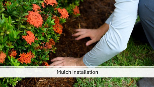 Mulch Installation